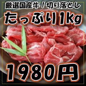 国産・和牛 切り落とし 1kg（500g×2P） 訳あり 端 小間切れ