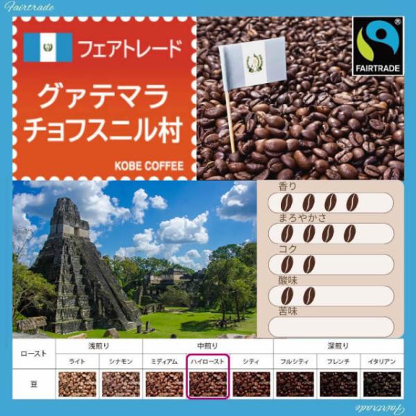 ブルーパック フェアトレード グァテマラ ウエウエテナンゴ チョフスニル村 200ｇ 2101820...