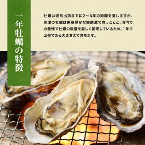 2個買いクーポン 生食 かき カキ 牡蠣 長崎...の詳細画像5