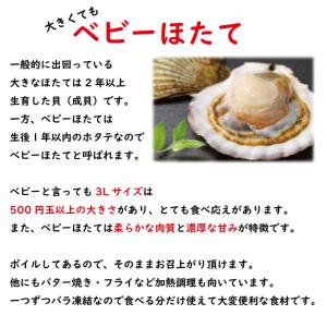 2個買いクーポン ボイル ベビー ほたて 特大...の詳細画像1