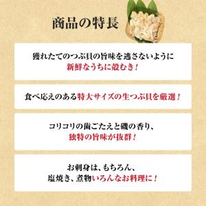 つぶ貝 開き 500g ツブ貝 粒貝 16時ま...の詳細画像2