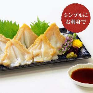 つぶ貝 開き 500g ツブ貝 粒貝 16時ま...の詳細画像5