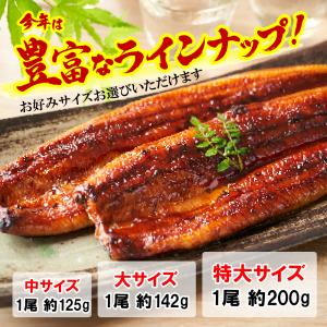 うなぎ 国産 蒲焼き 140g×2尾 16時ま...の詳細画像1