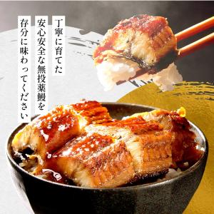うなぎ 国産 蒲焼き 140g×2尾 16時ま...の詳細画像3