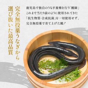 うなぎ 国産 蒲焼き 140g×2尾 16時ま...の詳細画像5