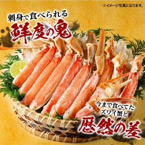 かに 生 ズワイガニ カット ハーフ ポーショ...の詳細画像4