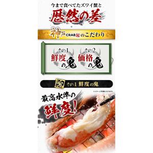 訳あり 生 ズワイガニ ずわいがに 折れ脚 小...の詳細画像4