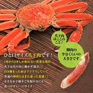 かに カニ 蟹 生 ズワイガニ ずわいがに 爪...の詳細画像2