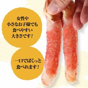 かに カニ 蟹 生 ズワイガニ ずわいがに 爪...の詳細画像3