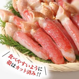 かに カニ 蟹 生 ズワイガニ ずわいがに 爪...の詳細画像4
