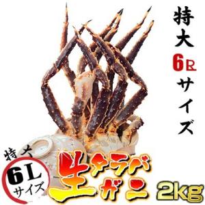 かに カニ 蟹 生 タラバガニ 肩脚 2kg たらばがに タラバ たらば 16時まで当日発送 お歳暮...
