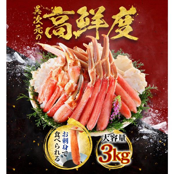 お刺身OK 徳用 生 ずわいがに 3kg 16時まで当日発送 カニしゃぶ セット ハーフ ポーション...