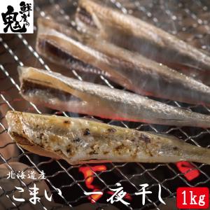 干しこまい 1kg 500g×2P 16時まで当日発送 こまい コマイ 干物 魚