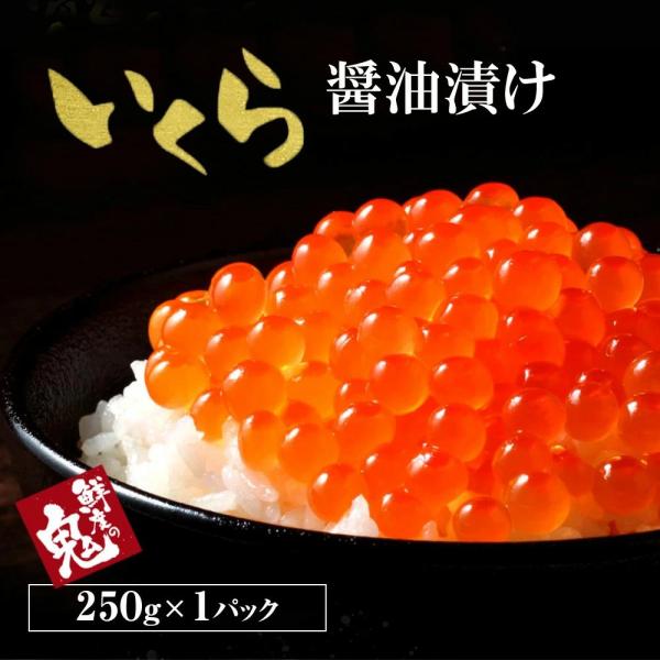 いくら 醤油 漬け 250g 16時まで当日発送 贈り物 御祝 ギフト いくら イクラ ます マス ...