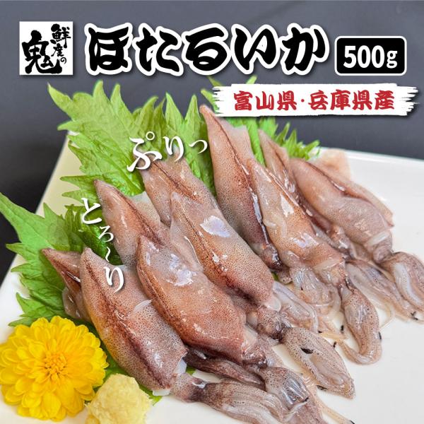 国産 刺身用 生 ホタルイカ 500g 70〜80尾入り 目取り 16時まで当日発送 お取り寄せ 釜...
