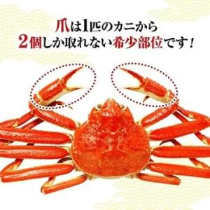 かに ズワイガニ 蟹 ボイル 爪肉 1kg 1...の詳細画像1
