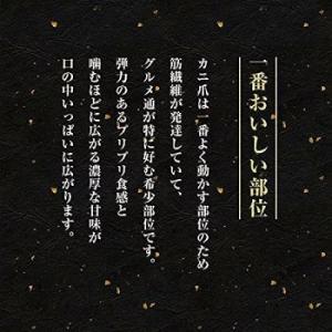 かに ズワイガニ 蟹 ボイル 爪肉 1kg 1...の詳細画像2