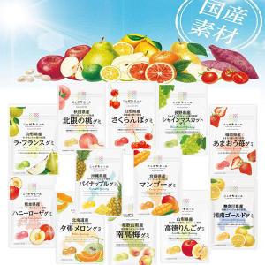 全農 ニッポンエール グミ　10種セット　全国ご当地　果汁　ぐみ　国産　果実　特産　美味しい　人気　菓子　送料無料