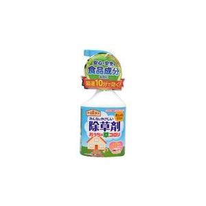 アース製薬株式会社 『アースガーデン おうちの草コロリ 1000ml』 【北海道・沖縄は別途送料必要...