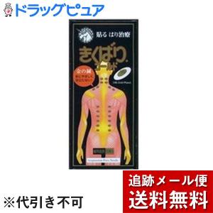 【メール便で送料無料 ※定形外発送の場合あり】 痛みが無い鍼治療器 日進医療器のきくばりゴールド 30本入×3個＋鍼サンプル付き10鍼分(ツボ表付)【医療機器】｜kobekanken