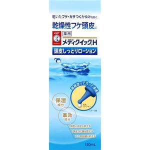 ロート製薬株式会社 　メディクイックH 頭皮しっとりローション 120ml 【医薬部外品】＜乾いたフケ・かさつくかゆみ＞【北海道・沖縄は別途送料必要】【CPT】｜kobekanken