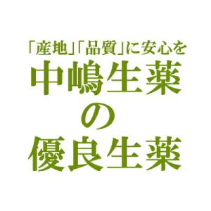 中嶋生薬株式会社 　ナカジマ　はとむぎ　500g入 (中国産・刻み) (ハトムギ・鳩麦。別名：皮つき...