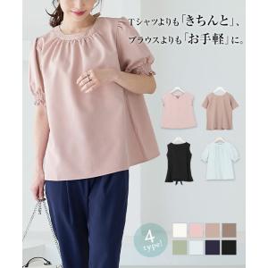 ブラウス 半袖 Tブラウス トップス レディース 洗える