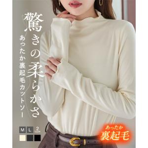 ロンT 裏起毛 トップス レディース 長袖Tシャツ 40代 50代 あったか ベーシック 暖かい M L 60代 C7653