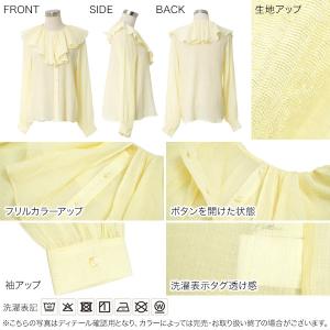 ブラウス レディース シアー 春夏 トップス ...の詳細画像2