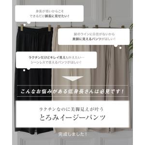 低身長サイズ Petitle プチレ とろみイ...の詳細画像5