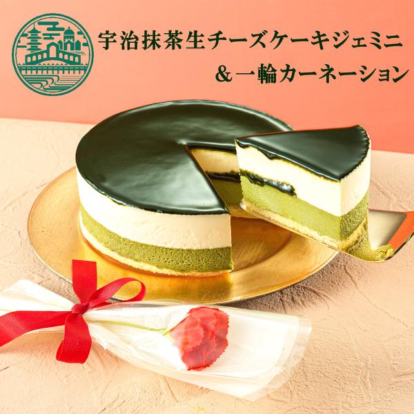 母の日 スイーツ 2026 母の日限定 宇治抹茶生チーズケーキジェミニ + 一輪カーネーションセット...