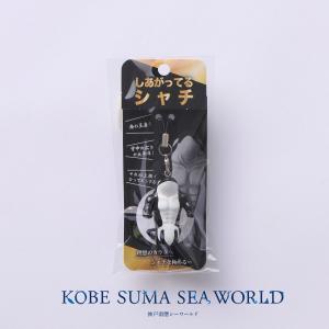しあがってるシャチ（正面）