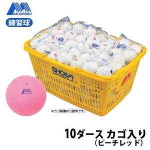 【新品・送料込】ソフトテニスボール・公認球・白（ナガセケンコー）10ダース 名入れサービス】ソフトテニス公認球 白 (カゴ：10ダース入り