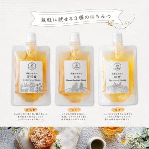 はちみつ 国産 エコパック 3本セット 90g...の詳細画像1