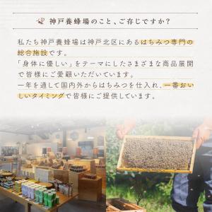 はちみつ 国産 エコパック 3本セット 90g...の詳細画像2