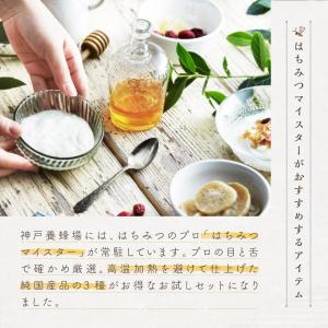 はちみつ 国産 エコパック 3本セット 90g...の詳細画像3