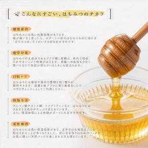 はちみつ 国産 エコパック 3本セット 90g...の詳細画像4