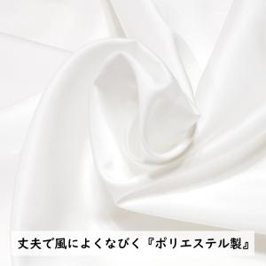 晴々 60cm 額入りセット(彩之風吹流し付)...の詳細画像2
