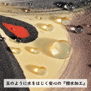 晴々 60cm 額入りセット(彩之風吹流し付)...の詳細画像3
