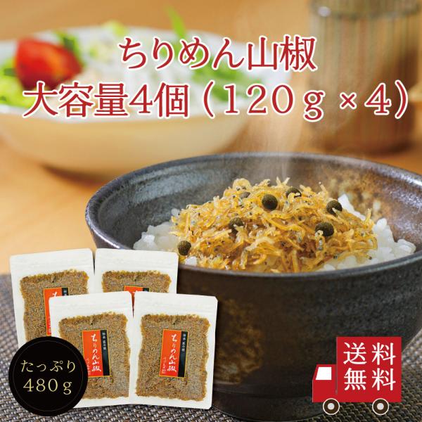 【送料無料】ちりめん山椒 120g 4個セット【 Ｒ-４ 】　不二の昆布 メール便 つくだ煮 佃煮 ...