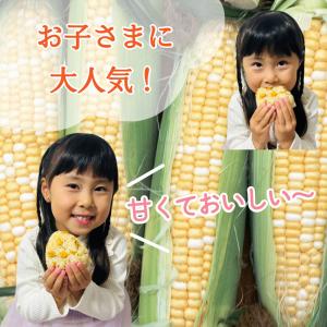 【送料無料】たっぷりとうもろこしご飯2合用 2...の詳細画像2