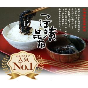 ぴり辛つぼ漬昆布 1.3kg 緑健農園 佃煮 ...の詳細画像1