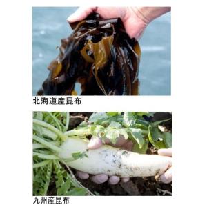 ぴり辛つぼ漬昆布 1.3kg 緑健農園 佃煮 ...の詳細画像2