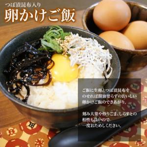 ぴり辛つぼ漬昆布 1.3kg 緑健農園 佃煮 ...の詳細画像4