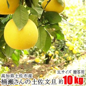 完売御礼 贈答用 楠瀬さん 土佐文旦 3Lサイズ 約10kg 露地栽培 高知県 土佐市 とさぶんたん ぶんたん ブンタン まる庄果樹園 柑橘 くだもの