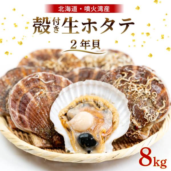 ホタテ貝 2年貝 殻付き 北海道 噴火湾産 8kg 貝むき ヘラ付き 帆立 ほたて 刺身 貝柱 貝ひ...