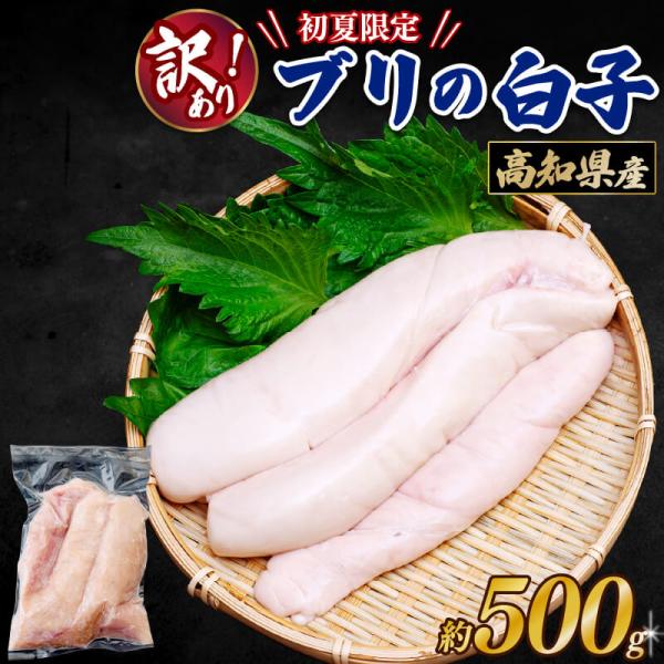 訳あり 高知県産 ブリの白子 500g　ブリ 鰤 白子 卵 魚卵 珍味 お取り寄せ ギフト プレゼン...