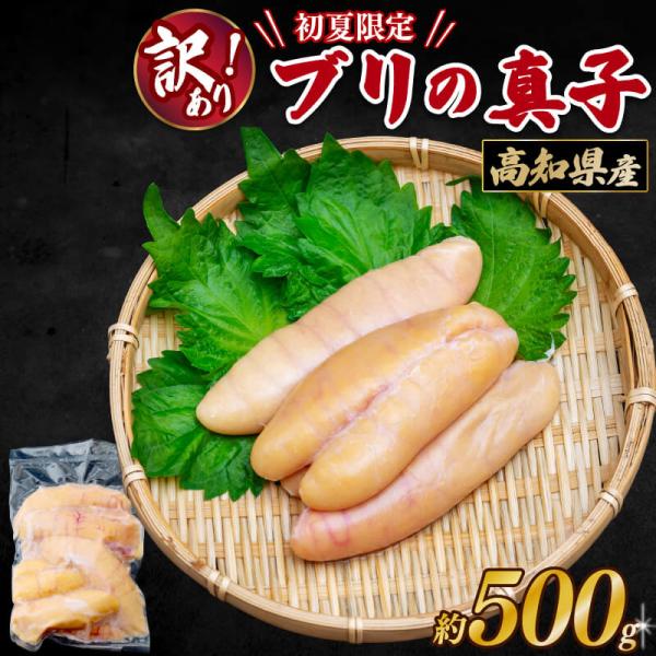 訳あり 高知県産 ブリの真子 500g 鰤 ブリ 真子 卵 魚卵 お歳暮 ギフト 送料無料 冷凍 お...