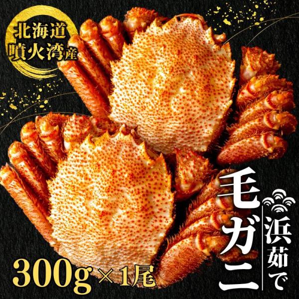 かに 蟹 毛ガニ 北海道 300g 前後 1尾 ボイル済 お取り寄せ ギフト 通販 冷凍 送料無料 ...