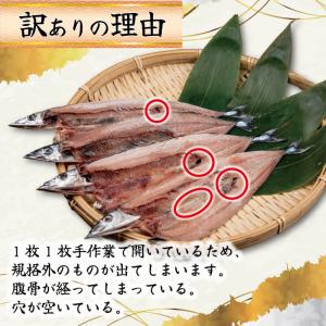 訳あり さんま開き 40枚 国産 サンマ 秋刀...の詳細画像2